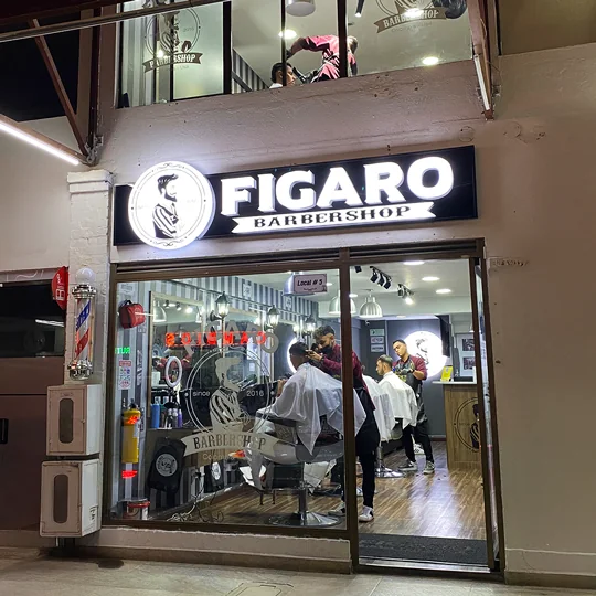 Figaro Cedritos 140